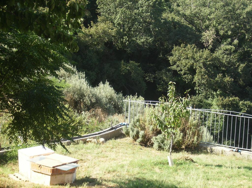Maremma Verde Apartment Montorgiali Room photo